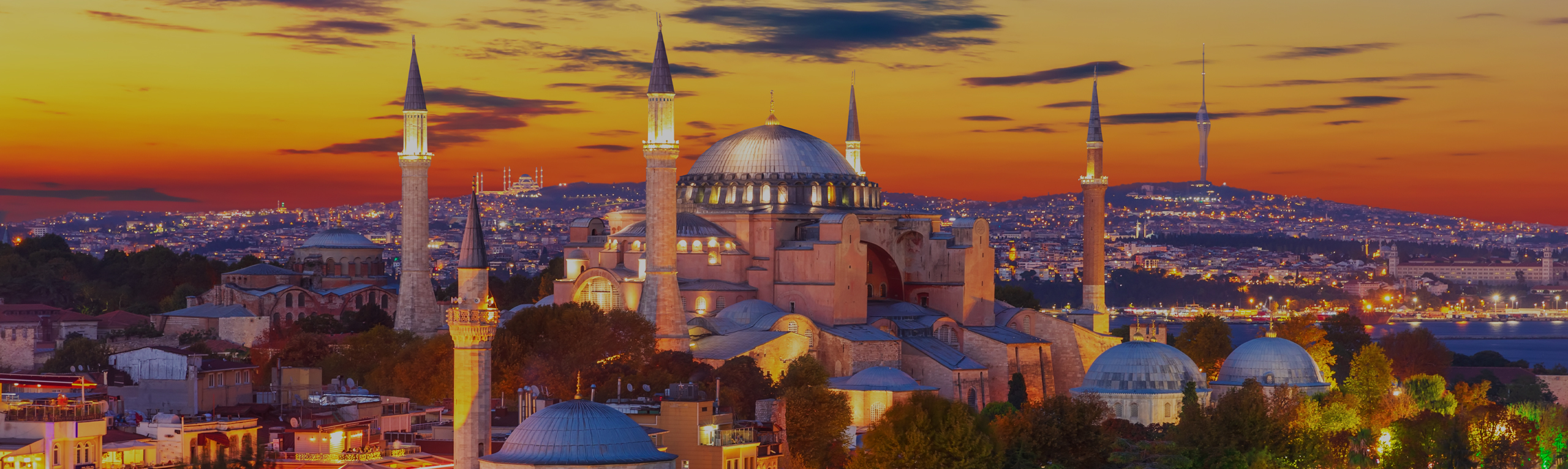 iStock credit Plautilla, IStanbul